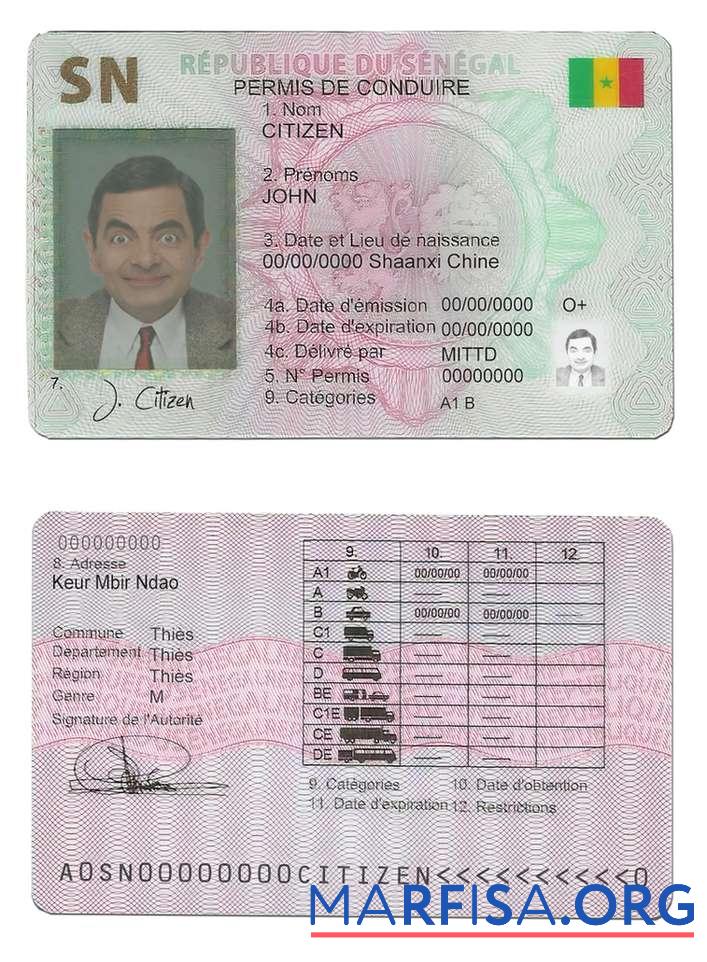 Blank Senegal driving license example